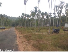 House Plot For Sale Near Krishnagiri Cricket Stadium Meenangadi Wayanad