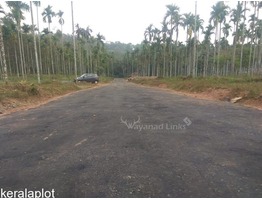 House Plot For Sale Near Krishnagiri Cricket Stadium Meenangadi Wayanad