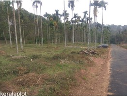 House Plot For Sale Near Krishnagiri Cricket Stadium Meenangadi Wayanad