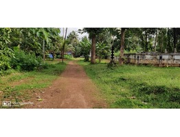 50 cent land for sale near PORATHISSERY