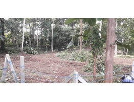 16 Cent Plot For Sale (Main Road Side)