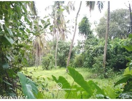 Residential Land for Sale in Thalakkad, Tirur, Malappuram