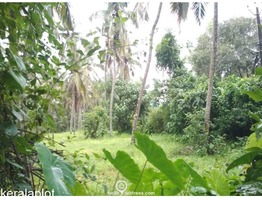 Residential Land for Sale in Thalakkad, Tirur, Malappuram