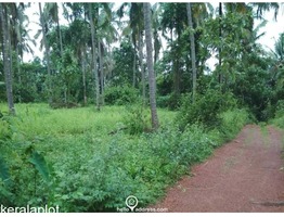 Residential Land for Sale in Thalakkad, Tirur, Malappuram