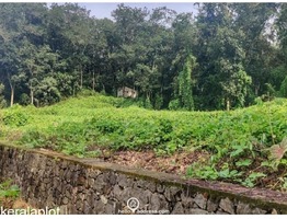 Residential Land for Sale in Kummannoor, Pala, Kottayam