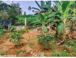 Residential Land for Sale in Kummannoor, Pala, Kottayam