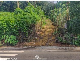 Residential Land for Sale in Kummannoor, Pala, Kottayam