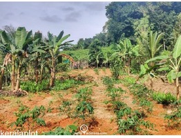 Residential Land for Sale in Kummannoor, Pala, Kottayam