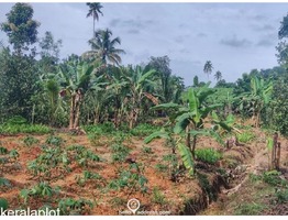 Residential Land for Sale in Kummannoor, Pala, Kottayam