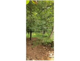 land for sale for 1 lakh