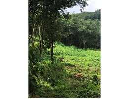 50 Acre Land for Sale at Kottayam