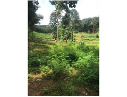 50 Acre Land for Sale at Kottayam