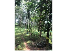 50 Acre Land for Sale at Kottayam