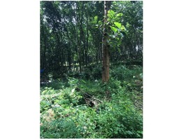 50 Acre Land for Sale at Kottayam