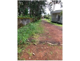 Plot  for Sale Near Vadavathoor Junction in Kottayam District