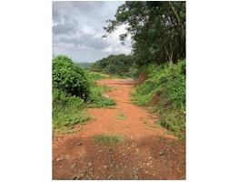 Plot  for Sale Near Vadavathoor Junction in Kottayam District