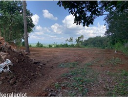 Plot  for Sale Near Vadavathoor Junction in Kottayam District