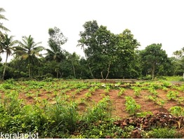 PLOT in Kanakkary, Kottayam