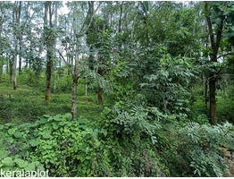 2 Acre 10 cent Farm Land For Sale In Kenichira URGENT