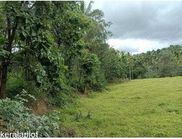 2 Acre 10 cent Farm Land For Sale In Kenichira URGENT