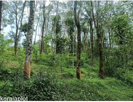 2 Acre 10 cent Farm Land For Sale In Kenichira URGENT