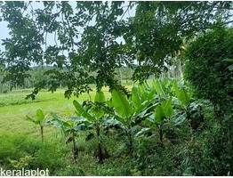 2 Acre 10 cent Farm Land For Sale In Kenichira URGENT