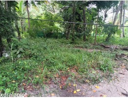 FOR SALE-14 cents (0.14acres) lush green residential land near Manaveli RV Junction, Cherthala