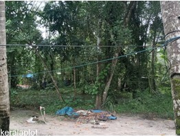 FOR SALE-14 cents (0.14acres) lush green residential land near Manaveli RV Junction, Cherthala