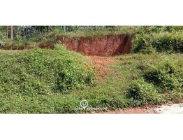 Residential Land for Sale in Kallanode, Balussery, Kozhikode