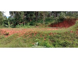 Residential Land for Sale in Kallanode, Balussery, Kozhikode