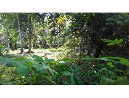 30 Cents land for sale near Changanassery Kurisummoodu Junction -