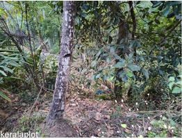 39 cents land for sale near Ranni,Kekozhoor in Pathanamthitta