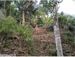 39 cents land for sale near Ranni,Kekozhoor in Pathanamthitta