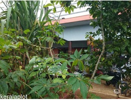 3.75 Acre land with  House for sale near Thodupuzha-Puliyanmala Road