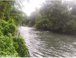 Agricultural Land for Sale in Aralam, Kannur