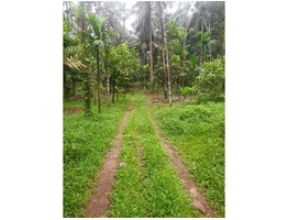 Agricultural Land for Sale in Aralam, Kannur