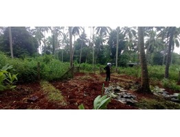 Land for sale @ Mangalam Lakkidi