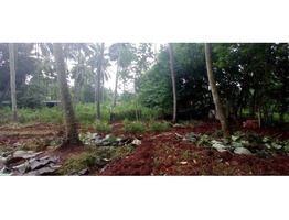 Land for sale @ Mangalam Lakkidi