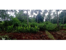 Land for sale @ Mangalam Lakkidi