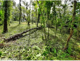 23 cent residential plot in Vengeri, Kozhikode